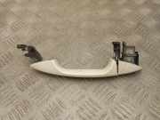 Türaußengriff vorne rechts