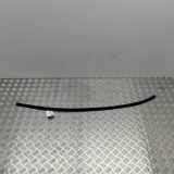 Dachleiste links BMW 4 Coupe (F32, F82) M4 7285925