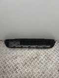 Gitter vorne unten CITROËN C3 II 1.2 THP 110 9815134980
