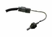 Abgastemperatursensor NISSAN X-TRAIL (T32_) 1.6 DIG-T (T32) RW1D1979G