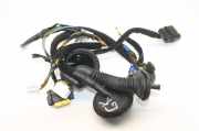 Türverkabelung hinten links KIA SORENTO II (XM) 2.2 CRDi 91655-2P063