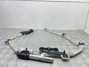 SRS Modul Dach links BMW 3 Touring (E91) 320 d 846966859030
