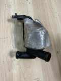 ZUSATZWASSERPUMPE VW AMAROK (2H_, S1B) 2.0 BiTDI 4motion 03L965561A