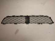 Gitter vorne unten TOYOTA YARIS (_P1_) 1.0 (SCP10_) 531120D020