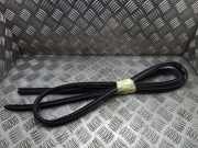 Türgummi rechts hinten Peugeot Traveller Bus (V)