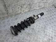 Stoßdämpfer hinten links BMW 5 (G30) 520 d 31316880083