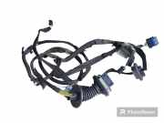 Türverkabelung hinten links PEUGEOT 3008 2.0 HDi 9675224980