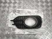 Gitter VW TIGUAN (5N_) 2.0 TSI 4motion 5N0853666J