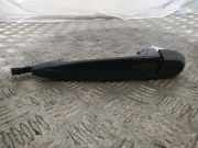 Türaußengriff hinten links BMW X5 (E70) xDrive 30 d 7207693 E9XL22
