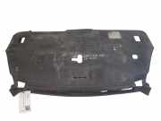 Anzeigetafel Rahmen RENAULT LAGUNA II Grandtour (KG0/1_) 1.9 dCi (KG0G) 620780001