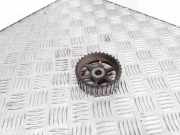 Auslassvanos RENAULT MEGANE II (BM0/1_, CM0/1_) 1.9 dCi (BM0G, CM0G)