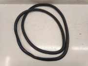 Türgummi links vorne Audi A3 Limousine (8V)