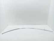 Dachleiste links MERCEDES-BENZ C (W204) C 250 CDI (204.003)