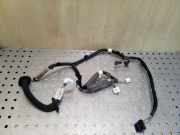 Kabel Tür Renault Kadjar (HA, HL) 241271979R