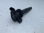 Zündspule TOYOTA AVENSIS (_T22_) 1.6 VVT-i (ZZT220_) 9008019019