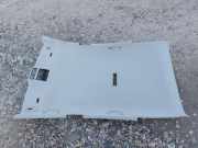 Dachverkleidung SEAT LEON (1P1) 1.8 TSI