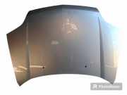 Motorhaube NISSAN X-TRAIL (T30) 2.2 dCi 4x4