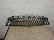 Gitter vorne unten MERCEDES-BENZ C Coupe (C204) C 250 CDI (204.303) A2048850853