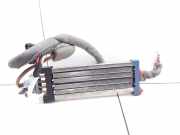 Elektrischer Schulterschulterkühler VW PASSAT B5 (3B3) 1.9 TDI 3B0963235