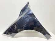 Kotflügel vorne links RENAULT MEGANE III Hatchback (BZ0_) 1.2 TCe (BZ16)