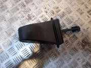 Türanschlag hinten links BMW X6 (E71, E72) xDrive 50 i 7198268