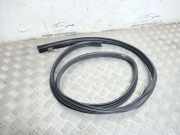 Türdichtung Nissan Qashqai (J10)