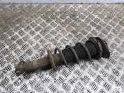 Stoßdämpfer hinten links TOYOTA GT 86 Coupe (ZN6_) 2.0 GT (ZN6AC_, ZN6BC_) 20365CA000