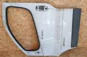Tür links vorne Nissan Primastar Kasten (X83)