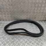 Türdichtungsgummi hinten links BMW X3 (G01, F97) xDrive M40 d 7393449