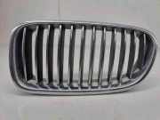 Kühlergrill oben BMW 5er (F10) 7203649