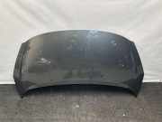 Motorhaube PEUGEOT 207 CC (WD_) 1.6 HDi