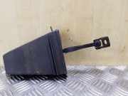 Türanschlag hinten rechts BMW X5 (E70) 3.0 sd 7141033