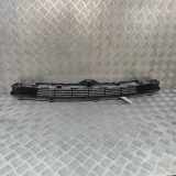 Gitter vorne unten TESLA MODEL 3 EV AWD 1085927-00-C
