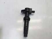 Zündspule FORD KUGA III (DFK) 2.5 Duratec Plug-in-Hybrid LX6E12A375BA