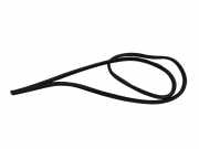 Türdichtung Lexus IS 3 (E3)