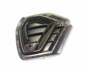 Gitter vorne unten AUDI Q3 (F3) 40 TFSI quattro 83A807681D