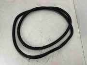 Türgummi rechts vorne Jeep Compass (MK49) 68242106AA