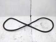 Dichtungsgummi der hinteren Tür (an der Karosserie) VW GOLF VIII (CD1) 1.0 TSI 5H4867913