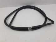 Türgummi links vorne Lexus IS 3 (E3)