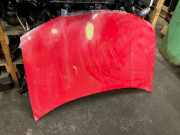 Motorhaube Skoda Fabia (6Y)