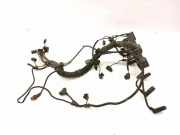 Motor Kabelbaum BMW 3 Compact (E46) 320 td