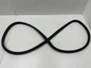 Türdichtung vorne rechts CITROËN DS5 1.6 HDi 110