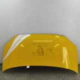 Motorhaube VW CRAFTER Platform/Chassis (SZ_) 2.0 TDI RWD (SZB, SZC, SZD, SZH, SZI, SZO, SZP, SZQ, SZU) 7C0823033