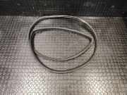 Türdichtung Nissan Murano II (Z51)