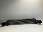 Ladeluftkühler Mercedes-Benz CLS (C219) A2115003902