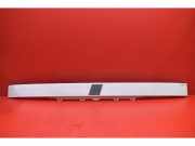 Lüftungsgitter für Stoßfänger Fiat Ducato Bus (230)