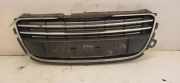 Vorderer oberer Gitter PEUGEOT 508 1.6 HDi