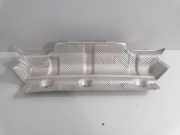 Hitzeschutz BMW 4 Coupe (F32, F82) M4 8055326