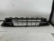 Gitter vorne unten FORD TRANSIT Furgon 2.0 TDCi GK2117K946AA