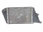 Ladeluftkühler Fiat Stilo (192) 838065000